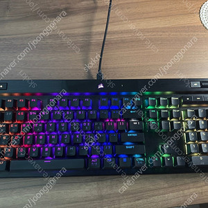 커세어 k70 rgb pro 풀윤활 은축