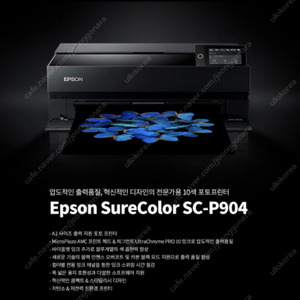 엡손 전문가용 사진 프린터기 SC-P904