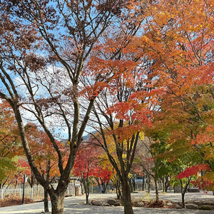 [양도]*가격내림* 가평 5성급 지안힐링라운지 11월 15~17일(2박) 양도