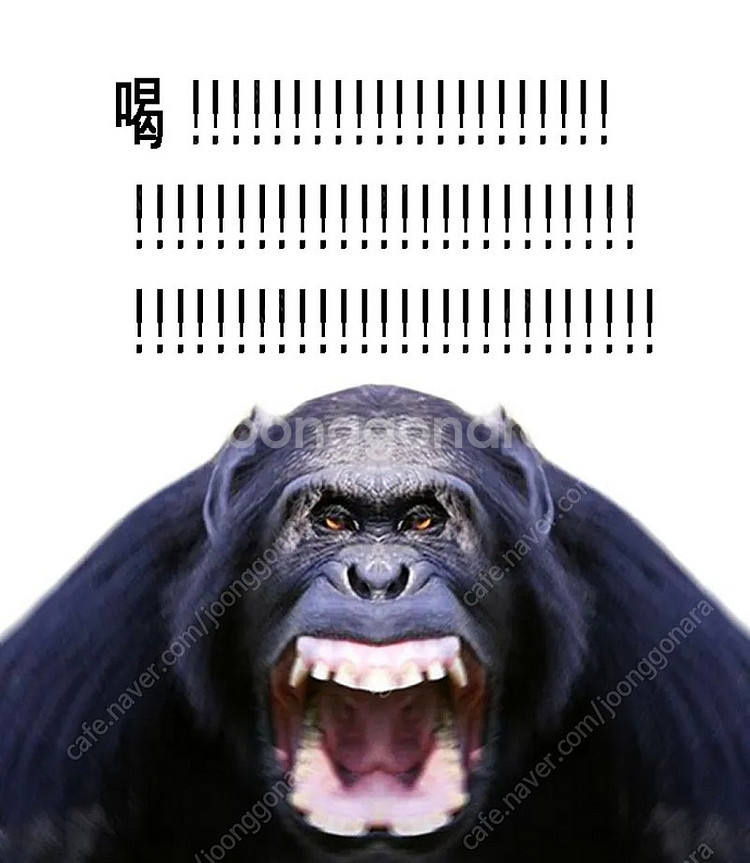 ps5 pro 되팔렘들 디스크 드라이브로 노선 변경했나...--0
