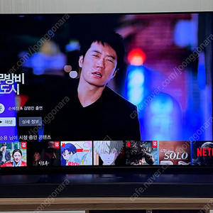 엘지 올레드 55인치 tv ( oled55cxgna )