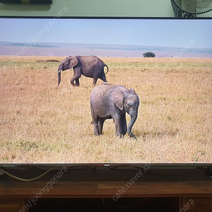 삼성 4k SUHD 60인치 스마트 TV 팝니다