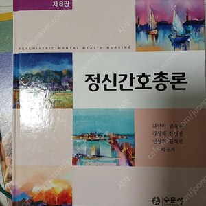 수문사 정신간호총론