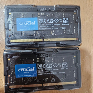 마이크론 크루셜 노트북 DDR5 16G X2 5600mhz