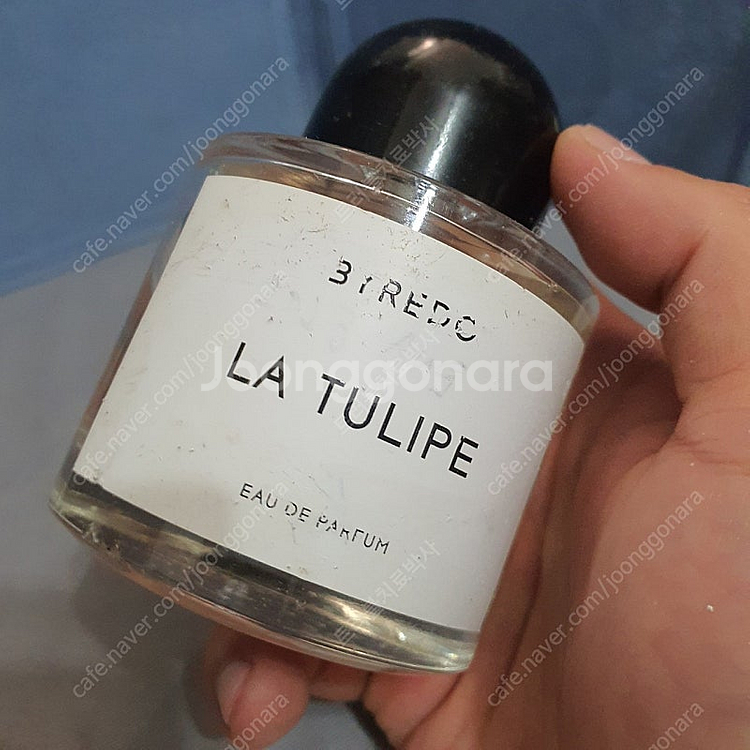 바이레도 라튤립 EDP 100ml 향수 (30)--2