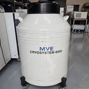 MVE CRYOSYSTEM 6000 LN2 Container