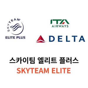 스카이팀 엘리트 플러스 skyteam elite plus 대한항공 모닝캄