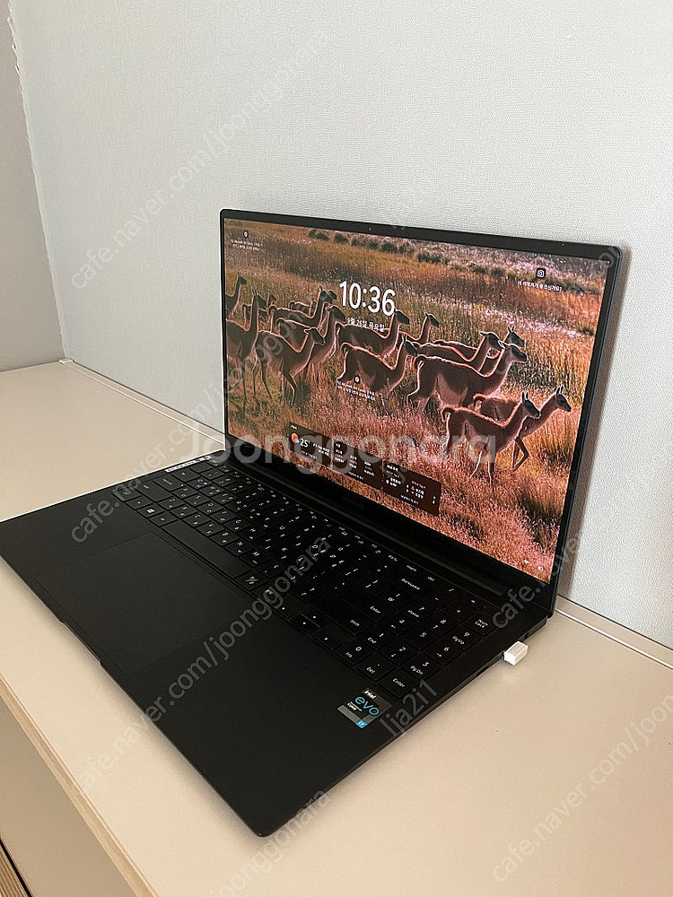 삼성 갤럭시 북 프로(NT950XDB-K71AL)--0