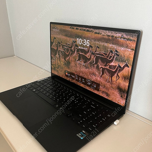 삼성 갤럭시 북 프로(NT950XDB-K71AL)