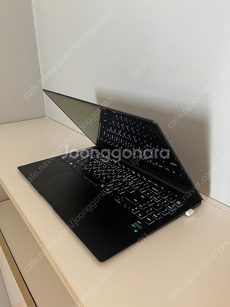 삼성 갤럭시 북 프로(NT950XDB-K71AL)--1