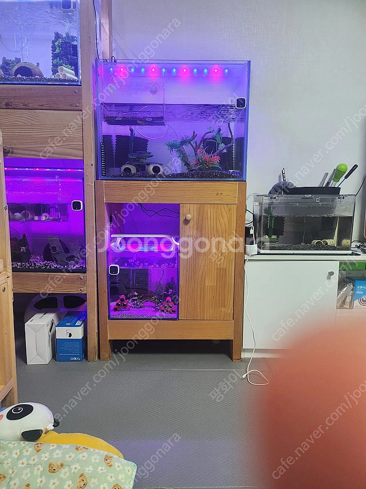 어항용품--1