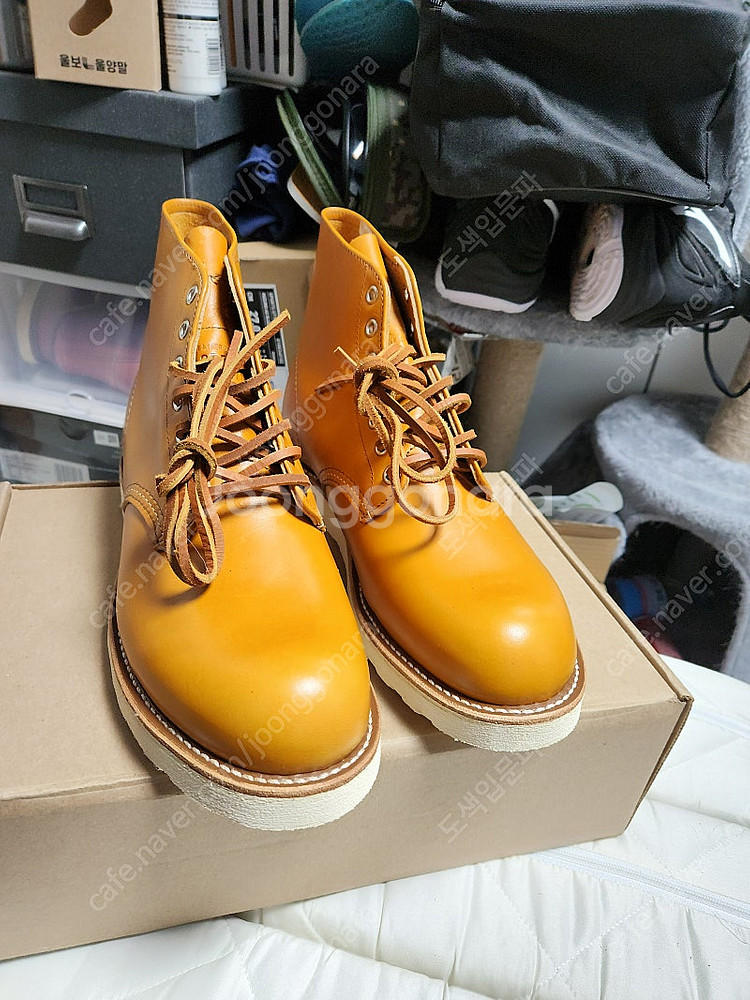 레드윙 아이리쉬세터 9871 9D 270 새상품--0