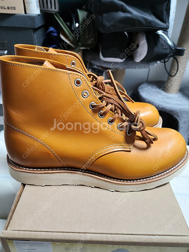 레드윙 아이리쉬세터 9871 9D 270 새상품--1