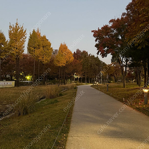 (삽니다) 12/1 양산하프마라톤 하프 남성 양도 원합니다