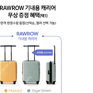 로우로우 캐리어 세이지그린 미개봉