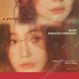 1/19(일) 다비치 콘서트 티켓 양도2025 DAVICHI CONCERT 〈A Stitch in Time〉 티켓 양도 수고비 단돈5만냥(vip석)4만냥(r석)