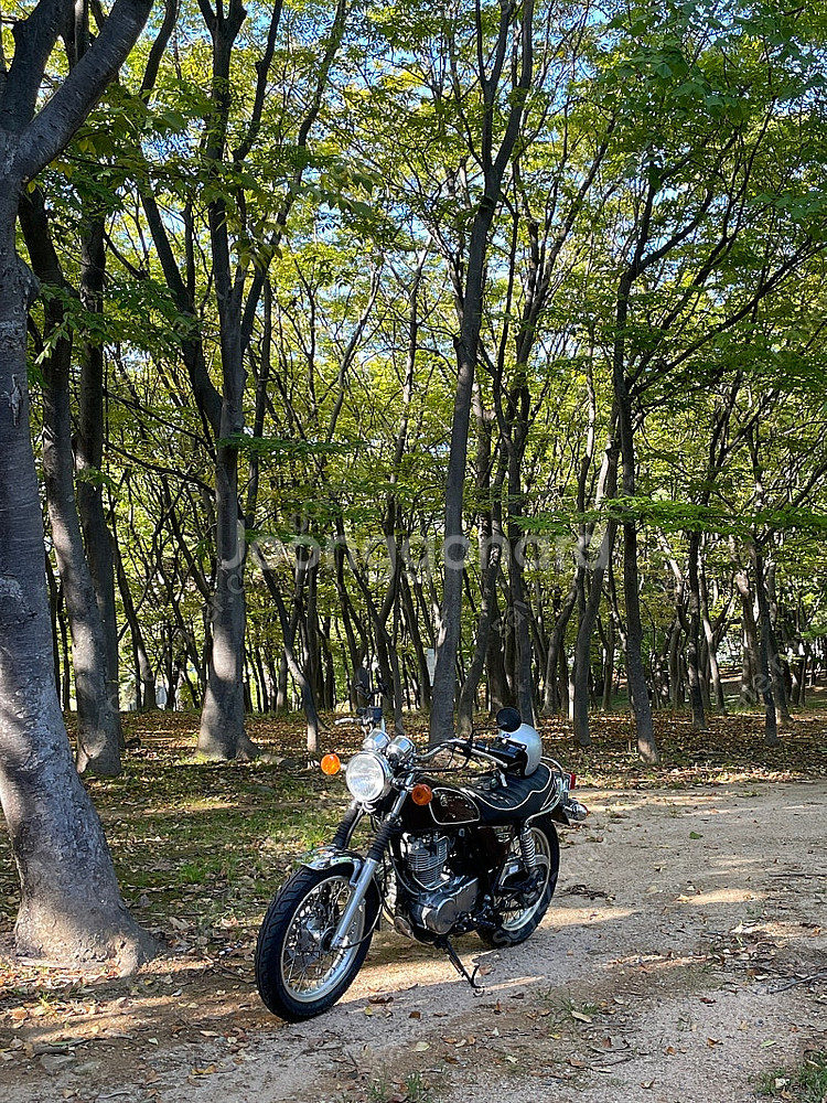 야마하 14년식 sr400 팝니다 :)--1