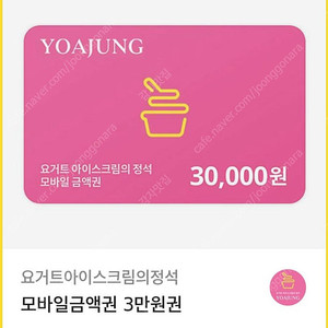 요거트아이스크림의정석(요아정) 3만원 쿠폰 ㅡ 23,000원 판매