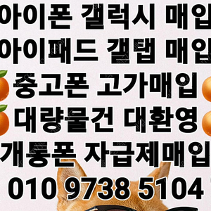 @최고가매입@ 아이폰16 프로 맥스 아이폰 15프로 맥스 Z폴드6 Z폴드5 Z플립6 Z플립5 S24 플러스 울트라 S23 갤럭시탭 아이패드 워치 테블릿 중고폰매입 파손폰매입 개통폰