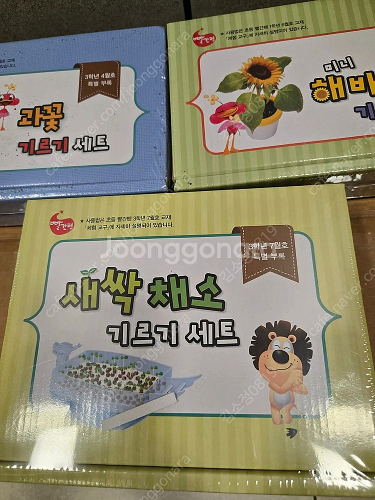 식물키우기 세트 3개--2