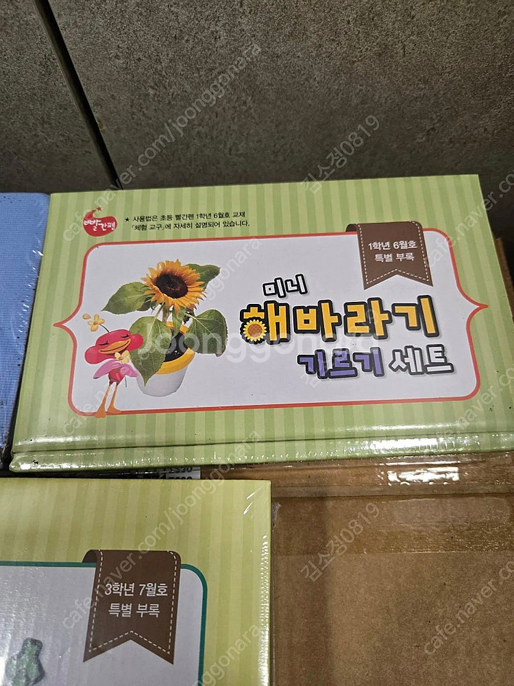 식물키우기 세트 3개--3