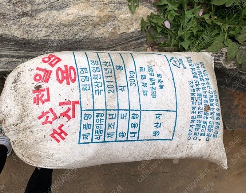 신안 천일염 2011년 30kg 간수뺌 원전사고 이전 ...--0