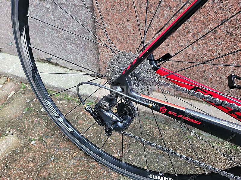 엘파마 카본 로드자전거--0