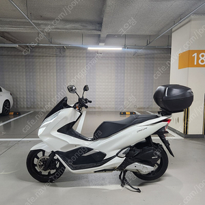 혼다 PCX125 화이트 19년식 정비 다 된거 판매 2만키로