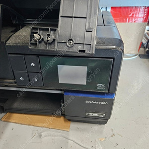 epson sc-p800 급처합니다.