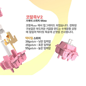 삽니다) 엠스톤 코랄축 (38~45g)