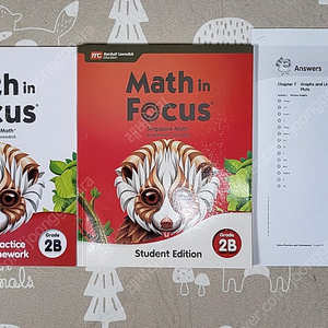 Math in Focus 2B