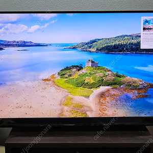 삼성 32인치 IPS 165Hz 게이밍모니터 오디세이 S32AG520 (세종시)