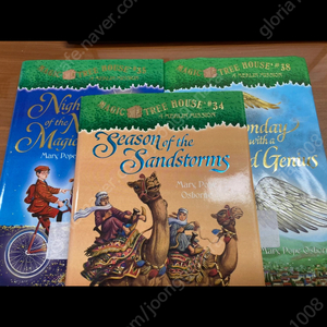 Magic tree house 원서 6권 새제품