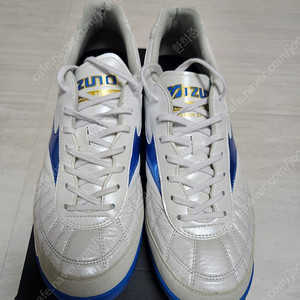 모렐리아 살라 재팬tf 260 급처합니다