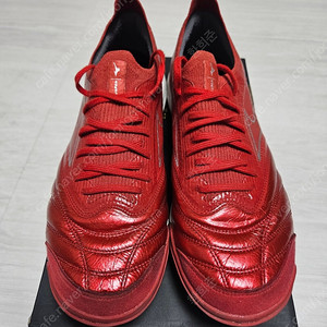 모렐리아 살라베타 재팬 255 급처합니다