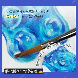 미술 캘리그라피 캘리) 파버카스텔 PITT 브러쉬팁 아티스트펜 24색