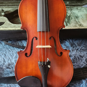 schoner string 바이올린 4/4