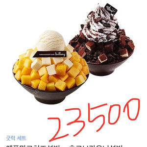 설빙 애플망고치즈빙수, 초코브라우니빙수 기프티콘