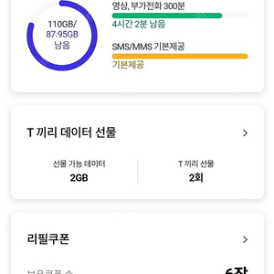 sk데이터 2기가