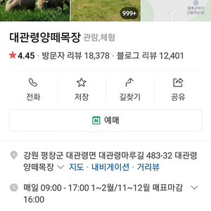 대관령양떼목장 4장(11월 18일 까지 사용가능)