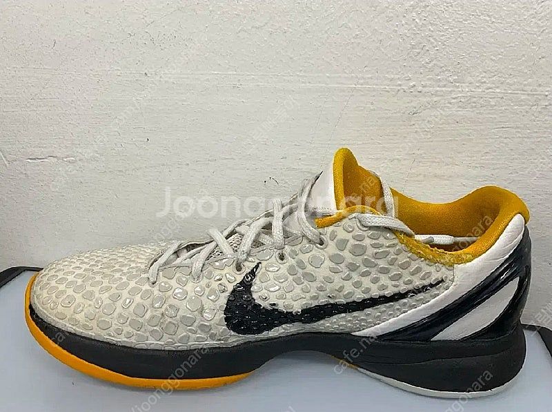 코비6 프로트로 델 솔 285--4