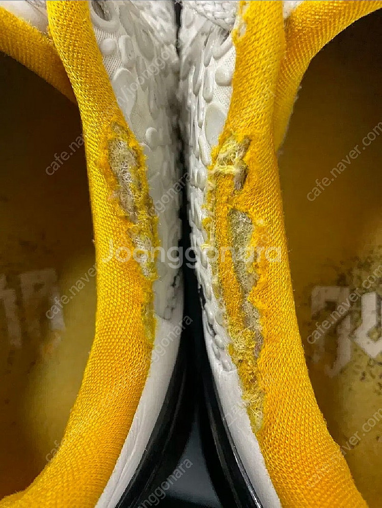 코비6 프로트로 델 솔 285--7