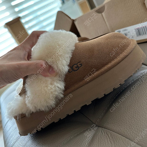 UGG Disquette 어그 디스케트 체스트넛 220 w1122550