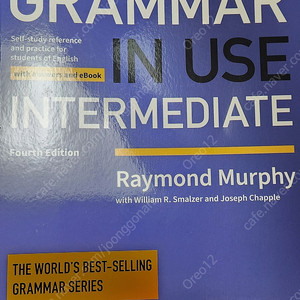 Grammar in use Intermediate