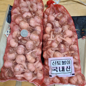 육쪽마늘, 홍산마늘 판매