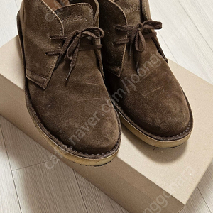 아스토플렉스 다크카키 41