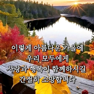 비숑용품