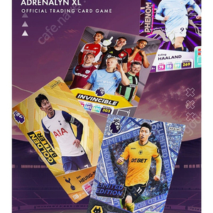 PANINI 파니니 epl 2025 축구카드