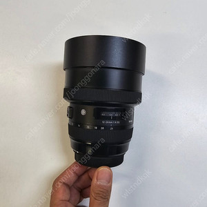 시그마 아트 12-24mm f4 캐논 ef 용