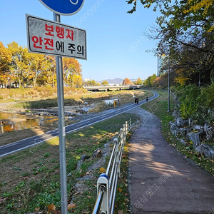 [구익희망]첼로크로노 50 29인치